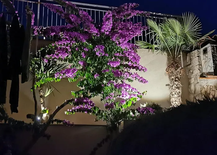 Διαμέρισμα Mara Cres