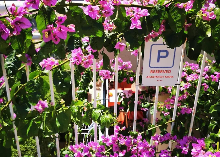 Mara Διαμέρισμα