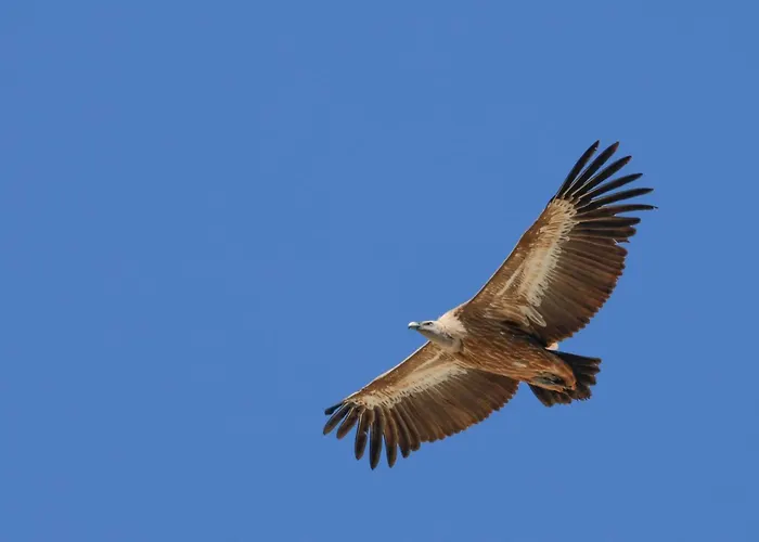 Mara Διαμέρισμα *